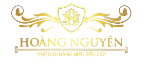 logo hoang nguyên store